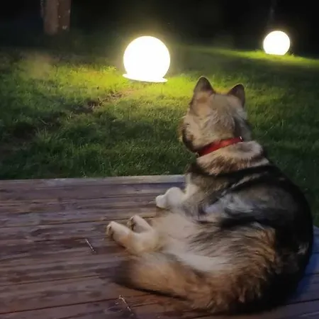 Tatil Evi Salu Summer *