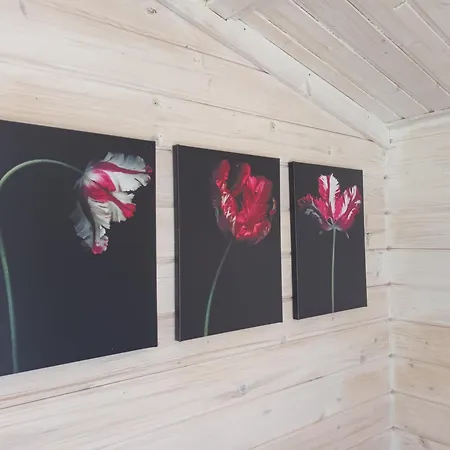 Salu Summer Nyaraló