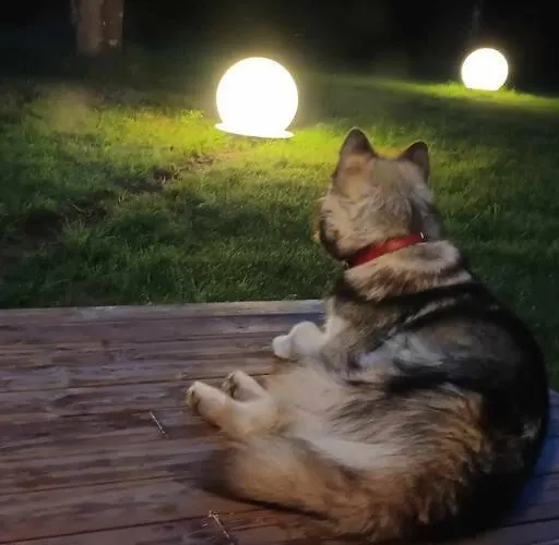 Holiday home Salu Summer *