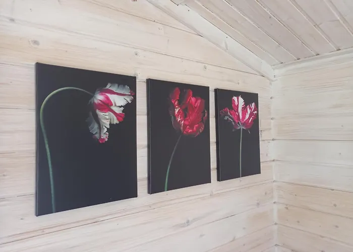 Salu Summer Holiday home