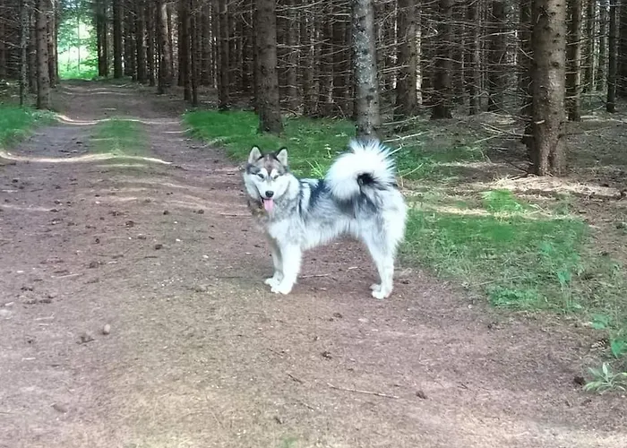 Salu Summer Holiday home *